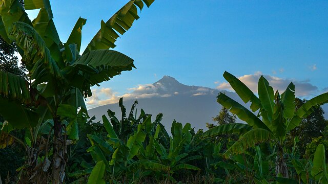 arusha arusha region tanzania pexels