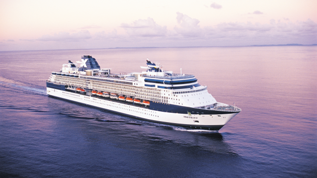 celebrity infinity