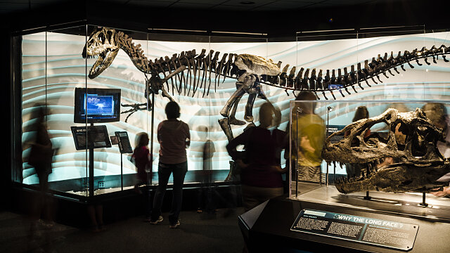 creation museum exhibit allosaurus