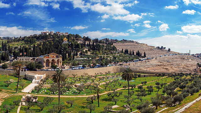 mount of olives jerusalem