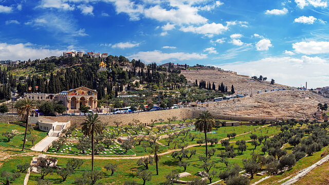 mount of olives jerusalem