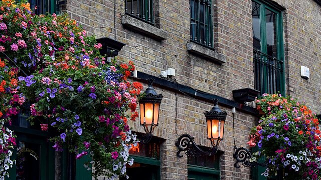 pub dublin ireland