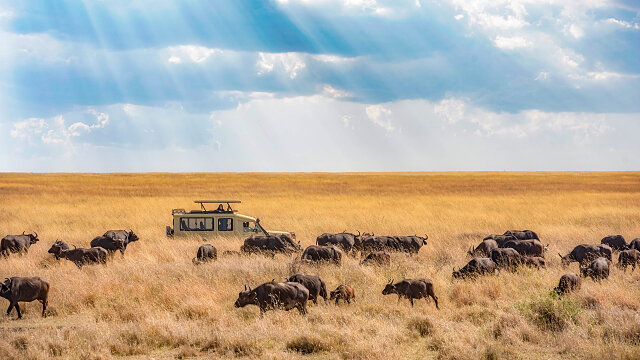 serengeti tanzania