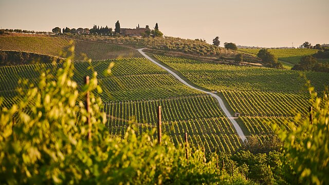 siena italy tuscany unsplash