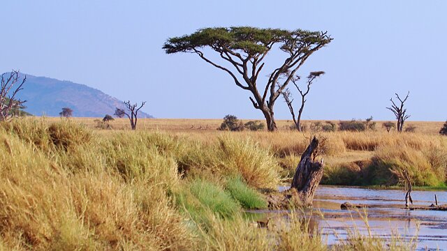 tanzania g959e6ddb8 1920